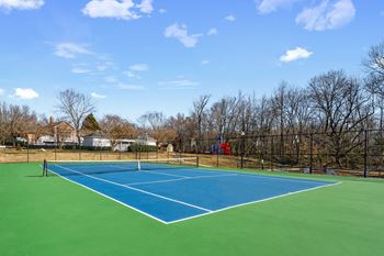 Tennis court